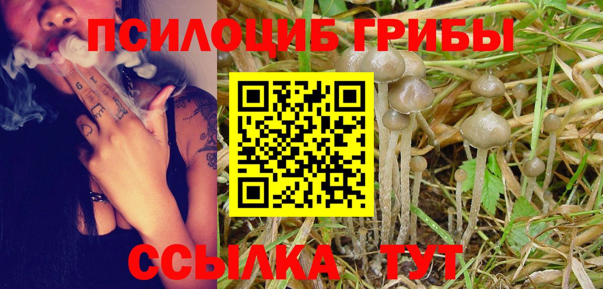 Псилоцибиновые грибы Psilocybine cubensis  Вход с VPN  Курчалой  Галлюциногенные грибы MAGIC MUSHROOMS 