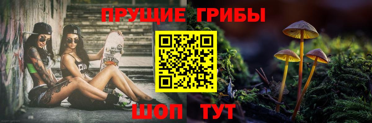 Галлюциногенные грибы мицелий Курчалой